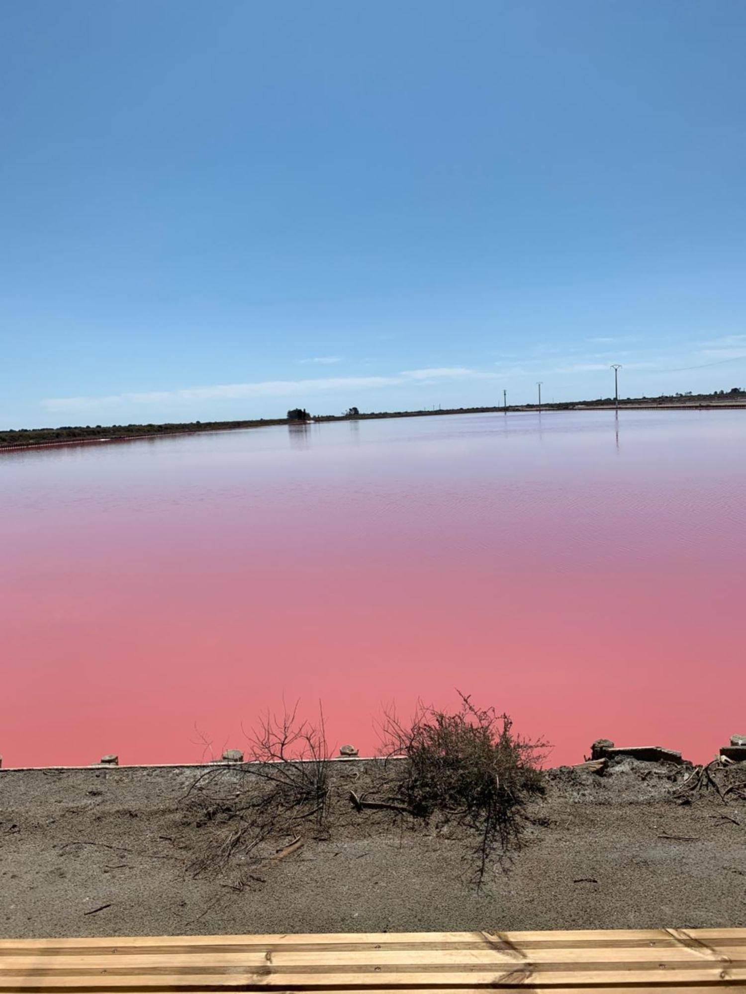 Nuits Salines Aigues-Mortes Exteriér fotografie